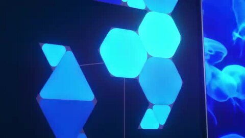 楽天市場】Nanoleaf ナノリーフ Shapes Hexagon シェイプス