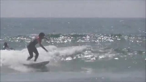楽天市場】JOISTIK SURFBOARDS ジョイスティック サーフボード ”TACO 