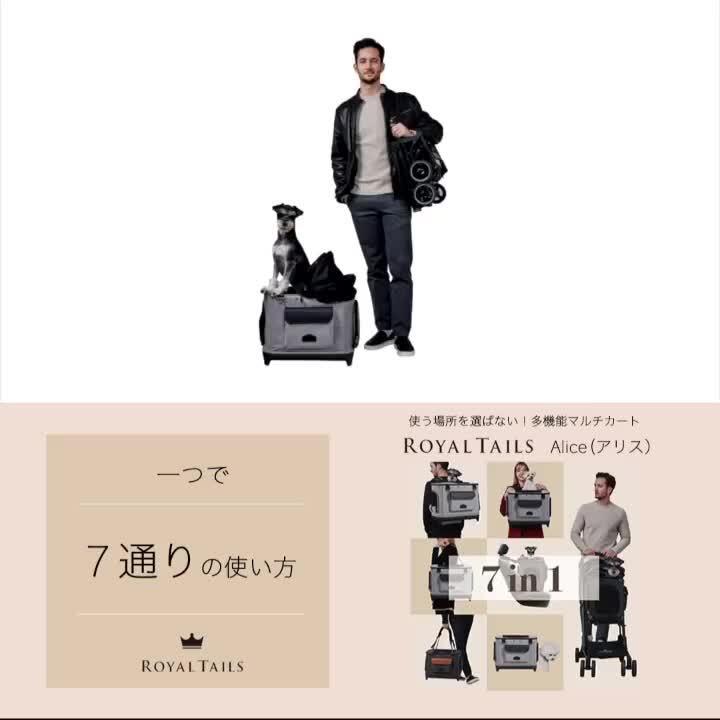 専用ペットアポルテ　アリスキャリーバック 1_000000007702.jpg?1678209906