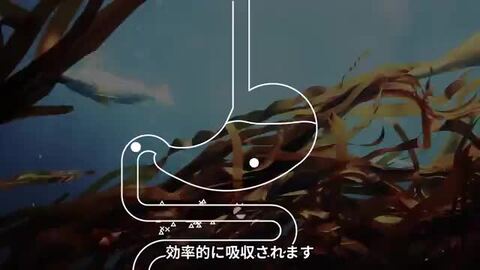 もったいない運動推奨 3種のプロティン500gX6袋.激安リッチミルク 4520699665480_999_0_2024050918