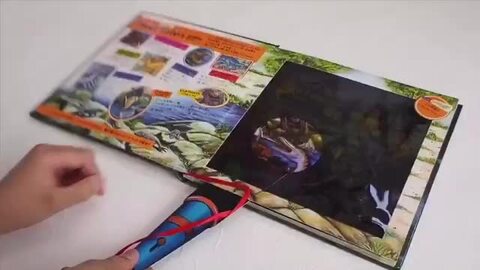 楽天市場】もりのいきものたち ロシアの絵本 しかけ絵本 0歳 1歳