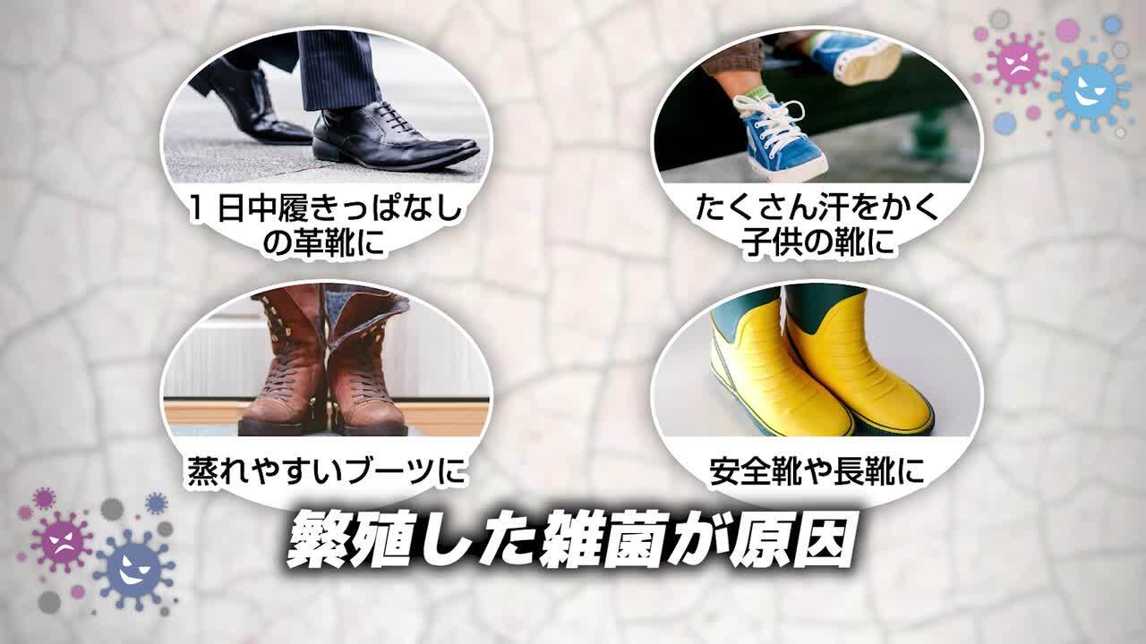 わくたく専用 除菌グッズ 楽天市場】革靴・スニーカーの臭い対策に！99.9％除菌！除菌抗菌