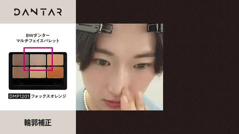 楽天市場】ダンター マルチフェイスパレット ウルフレッド