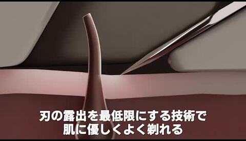 楽天市場】【HENSON公式】 生涯保証 《レビューで特典付き》ヘンソン