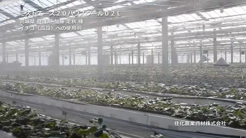 楽天市場】【20時〜枚数限定☆5,000円以上で1,000円OFFクーポン
