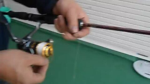 楽天市場】エギングセット 初心者 中級者向 8.0F 8.4F