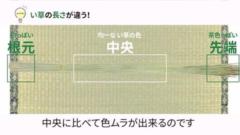 楽天市場】【無料サンプルあり】い草上敷き お手頃上敷き 柳川 約286