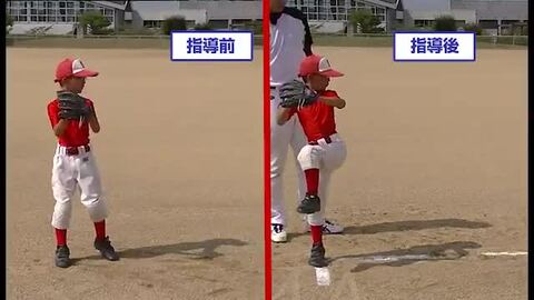 楽天市場】【7/10はエントリー＆抽選で100％ポイントバック】野球 教材