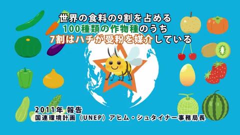 【goen's】レモン3Kg+600ｇ蜂蜜２本　同梱発送 Amazon | 山田養蜂場 輪切りレモンはちみつ漬 ＜ 1本 (420g