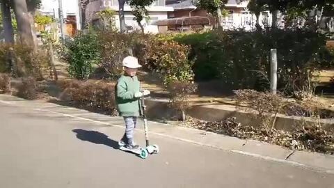 グレーの3輪スケーター 楽天市場】【S.Darwin】 キックボード 子供 三輪 キック