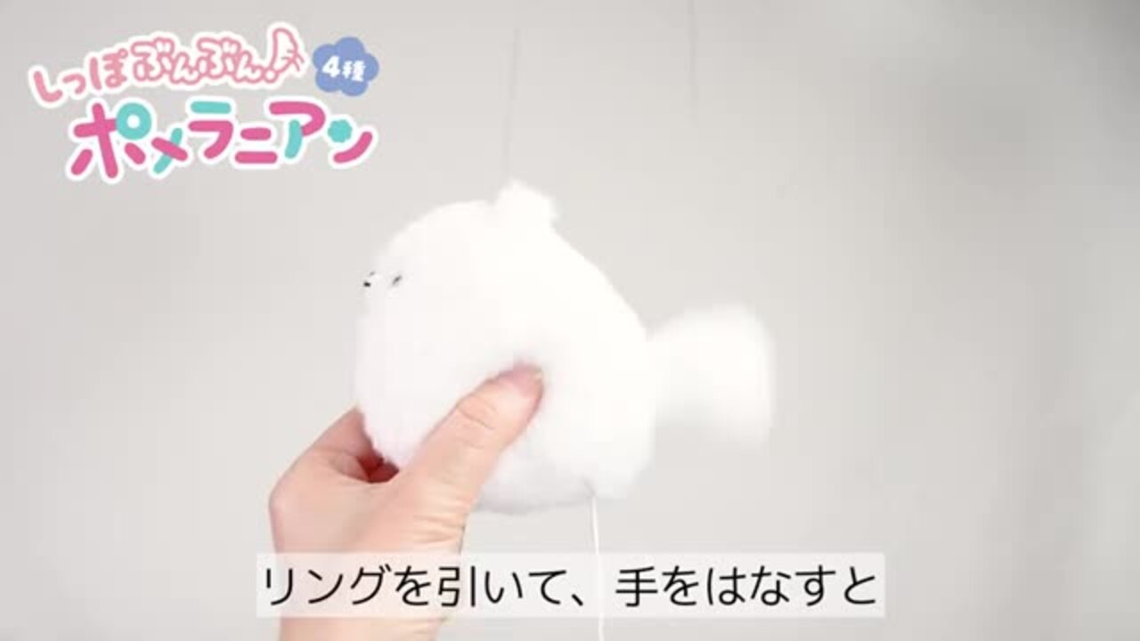 しっぽがフリフリするポメラニアン掛け時計 しっぽがフリフリするポメラニアン掛け時計 Amazon.co.jp