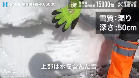 楽天市場】ハイガー公式 エンジン除雪機 自走式 家庭用 小型 6.5