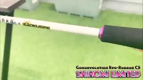 しほみん監修の本格船キス竿 ゴクエボリューション鱚 Shihomi