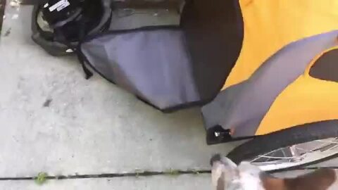 インステップ シュウィン ラスカル ペット トレーラー バイク