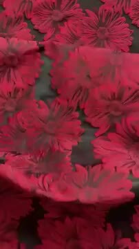 赤い花柄の色打掛　【ジャック】 色打掛】TAKAMI BRIDAL 2回目: For my HAPPY life