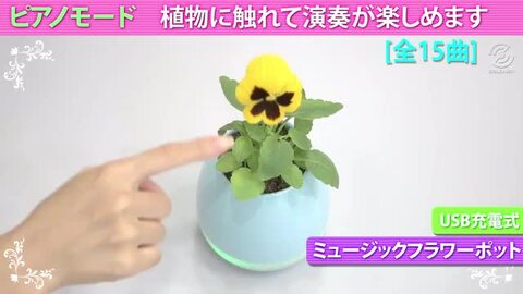 楽天市場】ミュージックポット メロディーポット bluetooth スピーカー 