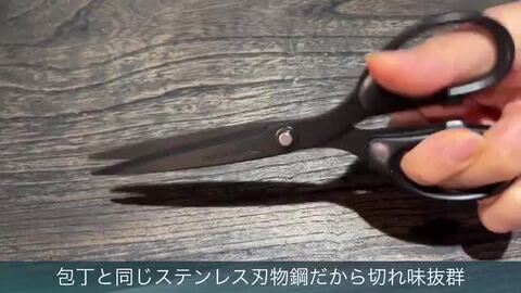 楽天市場】【ふるさと納税】ニッケン刃物 フッ素コートはさみ