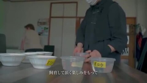 楽天市場】【レビューで500円オフクーポン配布中】豆カフェめだか