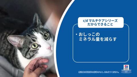 【週末限定P5】【ヒルズ15％OFFクーポン☆26日23:59迄】猫 食事療法食 食事療法食 ヒルズ プリスクリプション ダイエット 猫用 c /d マルチケア 4kgフード ドライフード 特別療法食 ペット ネコ ねこ ストロバイト 尿路疾患 [52742238500]【D】【rccf31】【1226B  ...