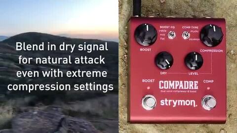 楽天市場】strymon COMPADRE 新品 コンプレッサー/ブースター[ストライ