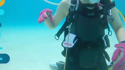 ダイビング器材 楽天市場】指示棒 ポインター ステンレス The Standard ザ