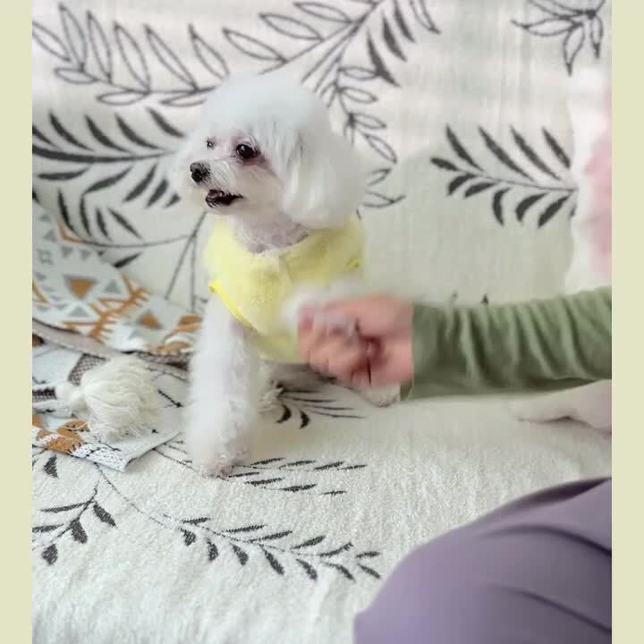 miko 　犬服　ウインターケープ茶色バージョン2着　ハンドメイド 犬 服 秋冬 】iDog 愛犬・愛猫用 ちゃんちゃんこ 七宝 XS,S,M