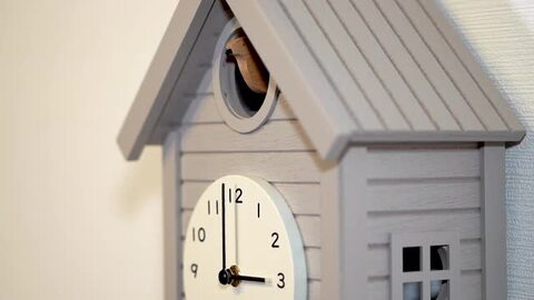 楽天市場】シャンブル CHAMBRE Cuckoo CLOCK WARM GRAY CH-059GY 鳩