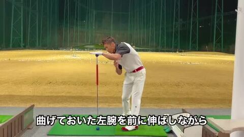 楽天市場】リンクス ダワ筋スティック 和田正義プロ 発案・監修