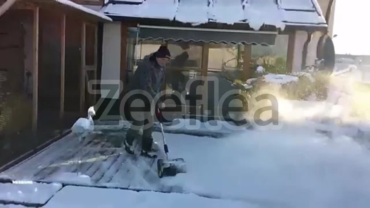楽天市場】【楽天1位】電動除雪機 除雪機 充電式 コードレス除雪 楽天市場】【楽天1位】電動除雪機 除雪機 充電式 コードレス除雪