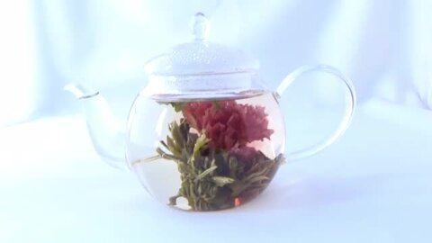 楽天市場】工芸茶 お花のつぼみとティーポット カーネーション茶