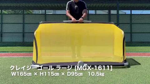 サッカーゴール ブラック/イエロー-直販直送