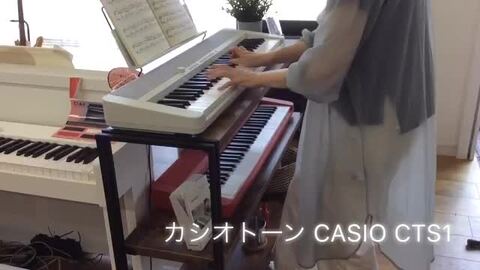 楽天市場】CASIO カシオ CT-S1 RD （赤 レッド） 【譜面立て付き】61