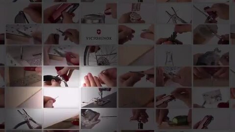 楽天市場】ビクトリノックス 公式 VICTORINOX フォーリスター