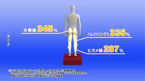 専用カバーのみ」ロコックス シェイポリン かわいかっ 替えカバー LOCOX プライムダイレクト