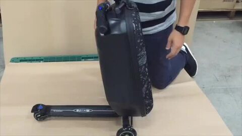 楽天市場】【ポイント5倍！11月1日0時～23時59分】マイクロ ラゲッジ