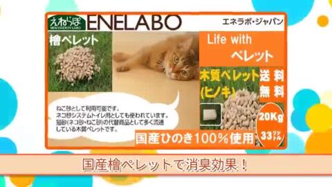楽天市場】猫砂 木質ペレット 33リットル ネコ砂 代用品 最安値挑戦中 