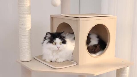 楽天市場】【P10倍・マラソン期間限定】キャットタワー 木製