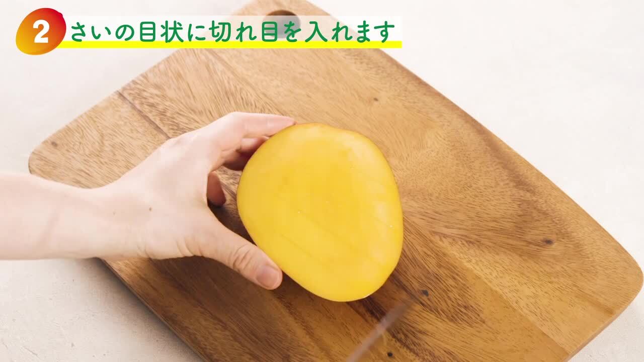 摘果マンゴー2/16 楽天市場】宮崎産 完熟マンゴー大玉 2Lサイズ2個入り化粧箱