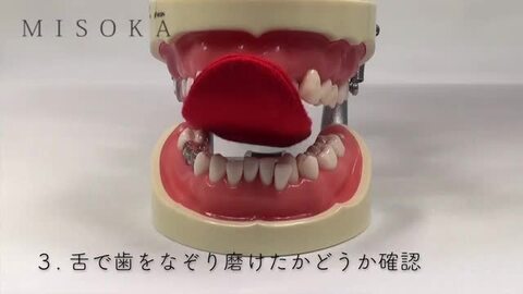 MISOKA 歯ブラシ 2本セット×6組 Amazon | 【セット商品】MISOKA 基本の歯ブラシ 4本セット