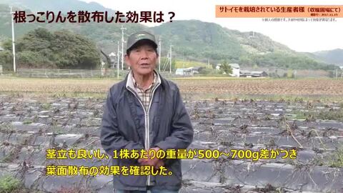 楽天市場】肥料 根っこりん 20kg コリン含 液肥 液体肥料 根茎菜類