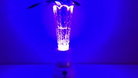 楽天市場】クリスタル灯「花ともしび」パールホワイト【LED】【花瓶 