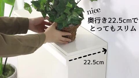 楽天市場】【11日10時まで2000円OFF】 ダストボックス 4分別