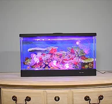 image.jpg image.jpg