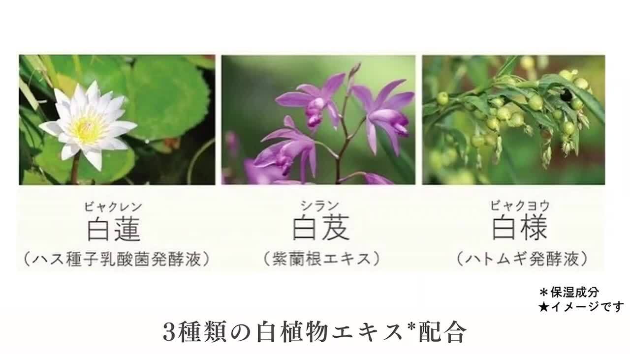 楽天市場 | アロエガーデン 公式 - 初回購入限定 特別価格商品