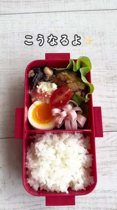 楽天市場】[2日〜30日 P20倍]弁当箱 大人 一段 仕切り 食洗機