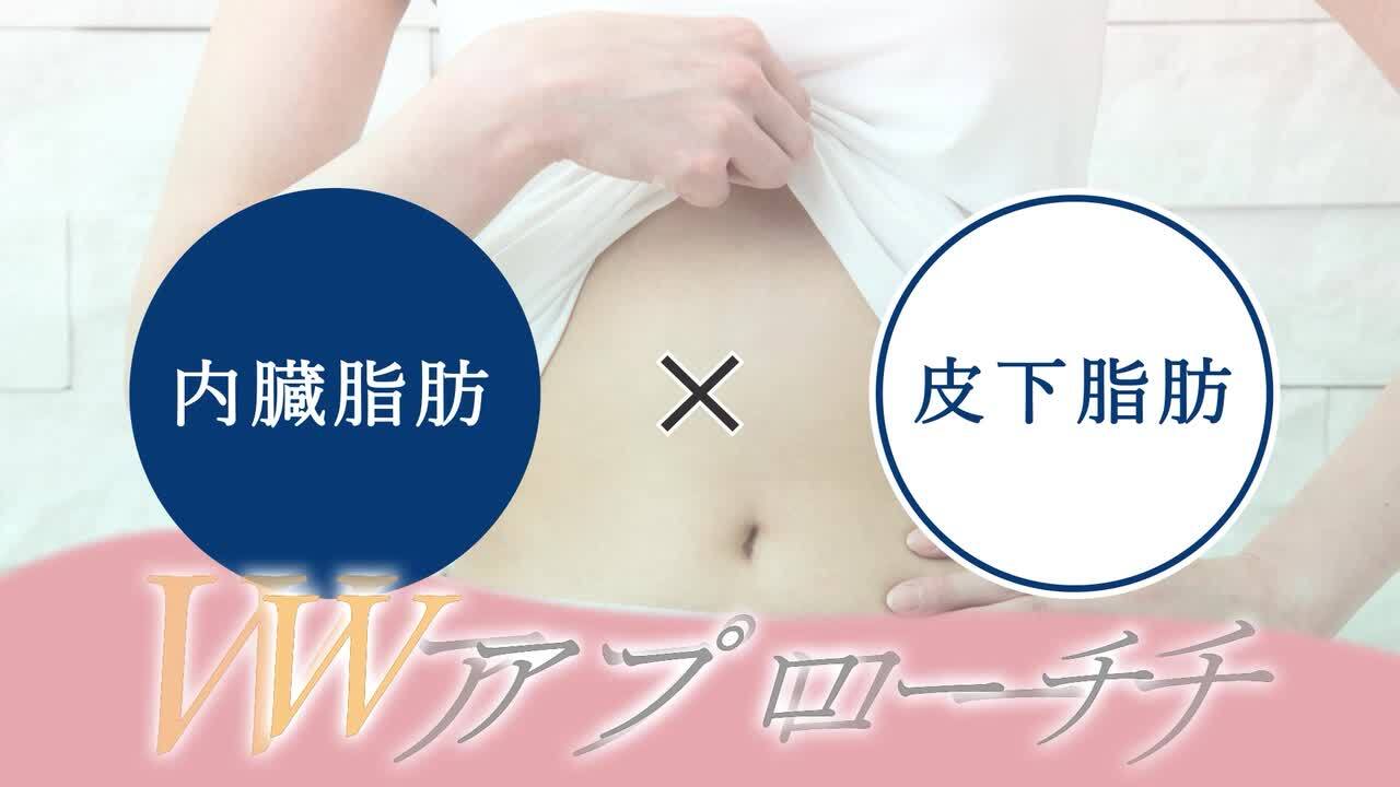 楽天市場】ダイエット サプリ お腹の脂肪 皮下脂肪 内臓脂肪を
