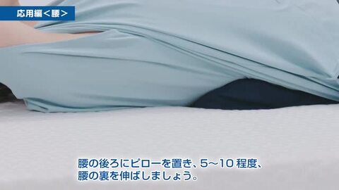 楽天市場】ファイテン 星のやすらぎ エアロクレイドル
