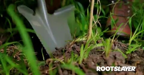 お庭のお手入れ4点セット　庭　手入れ　ガーデニング　のこぎり　のこ　高枝　枝切　刈込　コンパクト　セット 送料無料お庭のお手入れ4点セット 庭 手入れ