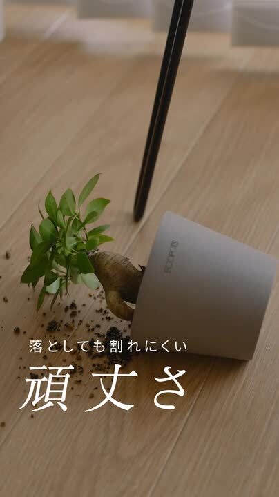 楽天市場】ECOPOTS Amsterdam 植木鉢 3~10号 大型 プラスチック+