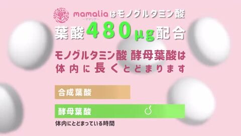 楽天市場】葉酸 480μg 妊活 妊娠 サプリ ミネラル 人気 ランキング 妊